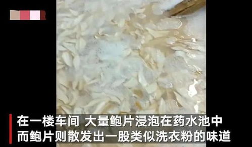 触目惊心 大连海产品加工厂 2个食品黑科技曝光,注意识别