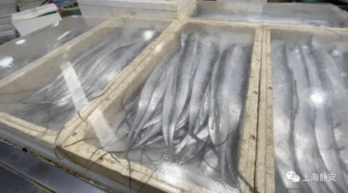 中秋国庆双节临近,静安市场上哪些商品最热销