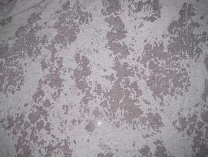 牛奶丝 磨毛牛奶丝 拉架牛奶丝 弹力牛奶丝 运动面料 瑜珈服面料 棉衣面料