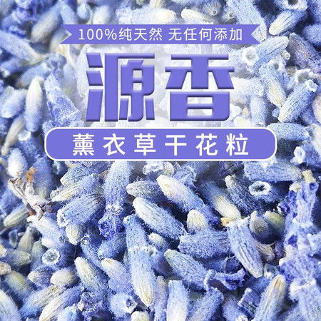 金昌特产 薰衣草干花粒 净化空气 清心助眠 大自然的气息扑面而来 香气持久 国内包邮图片大全 邮乐官方网站