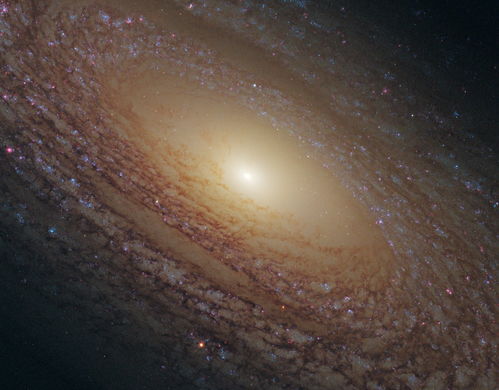 你生日那天的宇宙 一月篇