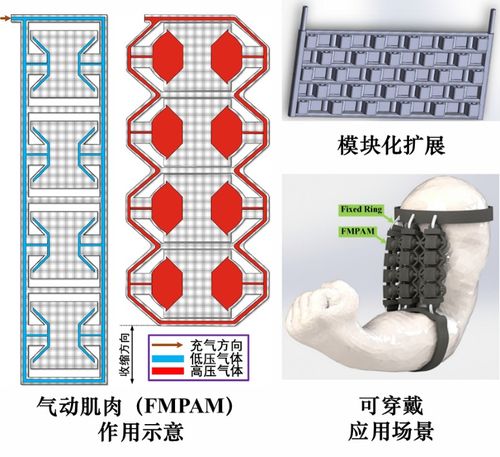 天津大学提出模块化柔性驱动新方法,可用于人工肌肉和管道机器人